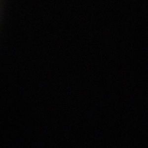 Meet your Posher, Will